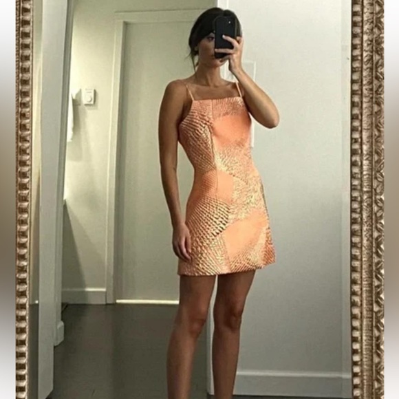 The Bar Logan Metallic Mini Dress in Peach - Picture 10 of 11